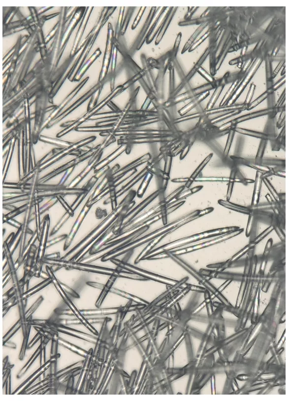 Hydrolyzed sponge 99% (white needle)